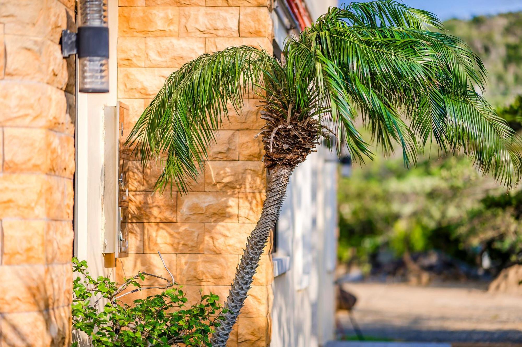 Southern Sun Homestay North Kenting Dış mekan fotoğraf